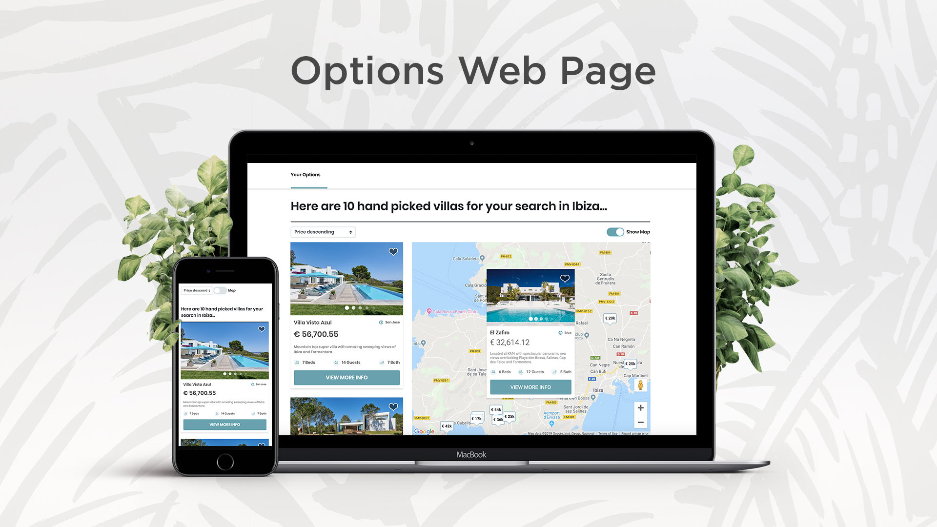 Options Web Page