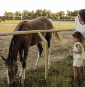 Ibiza and Mallorca With Kids: The Villas and Services That Make Family Trips Work 5 Horses in Mallorca