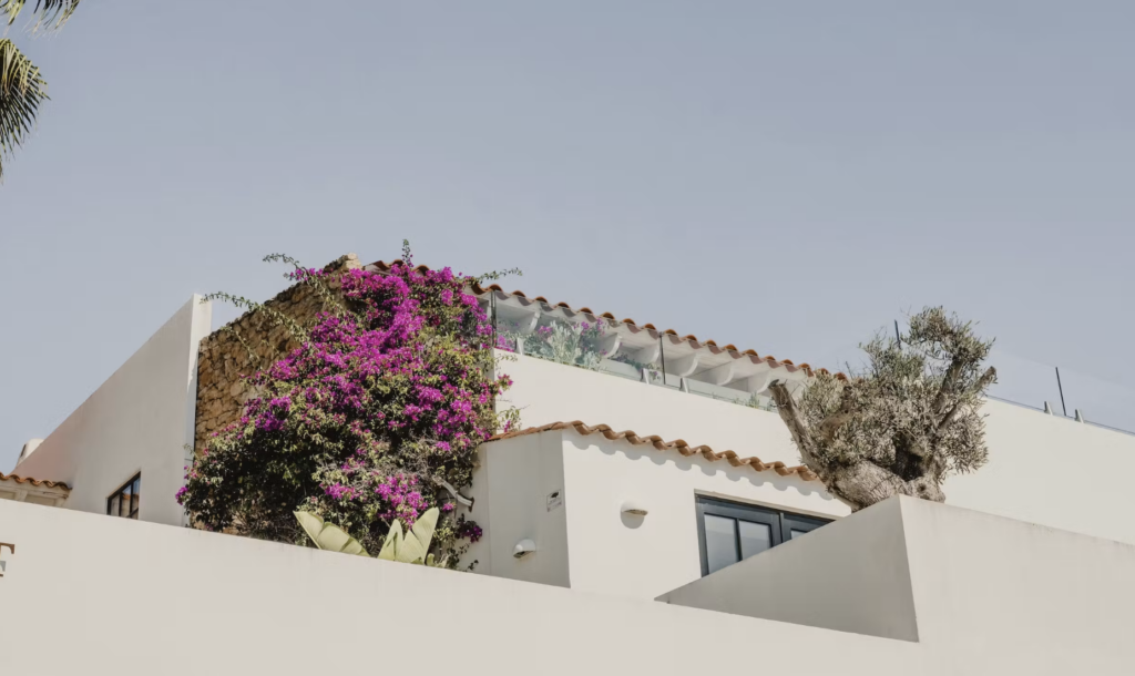 Villa Martinet architecture Ibiza Privadia